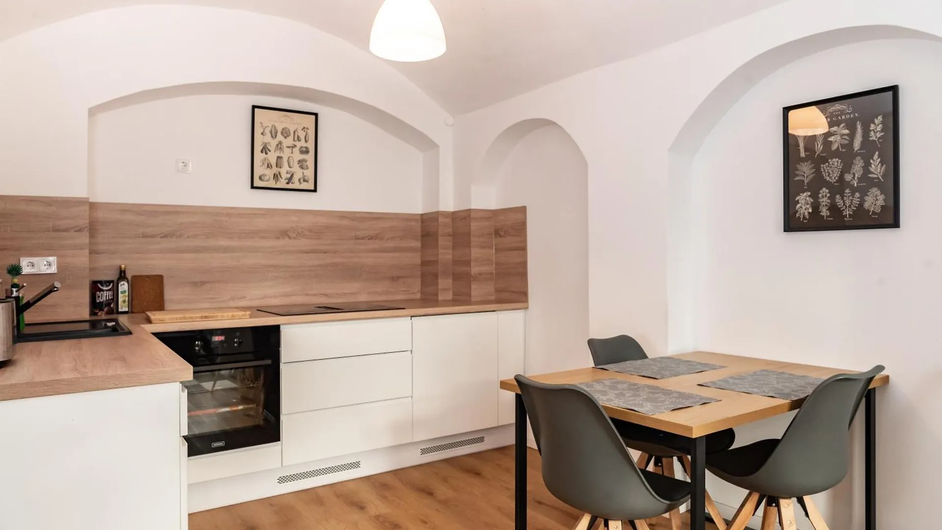Gewoelbewohnung Mit Terrasse Dresde